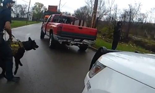 Toledo Police Justified in Shooting Dog During Search Warrant Execution, Investigation Finds