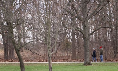 Lucas County Voters Approve Replacement Levy for Metroparks Toledo